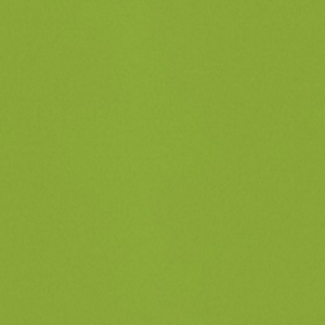 Verde Fun